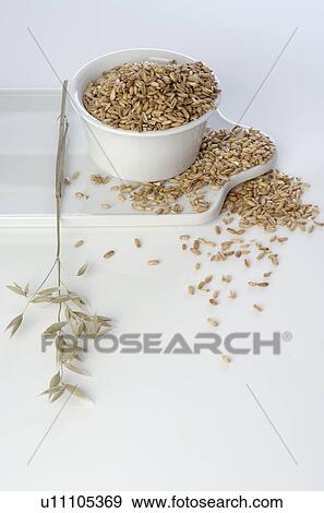 Stock Photo - Bowl filled with grain. Fotosearch