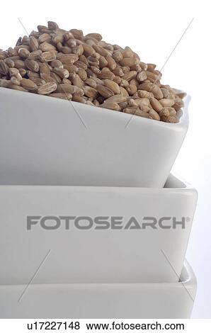 Stock Photo - Bowl of grain. Fotosearch
