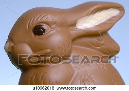 Chocolate Easter bunnies View Large Photo Image Stock Photo - Chocolate Easter bunnies. Fotosearch