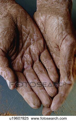 Stock Photography - Hands with chocolate powder. Fotosearch