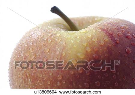 Picture - Apple. Fotosearch