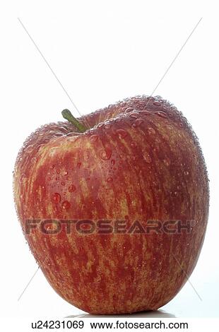 Apple View Large Photo Image Stock Photo - Apple. Fotosearch