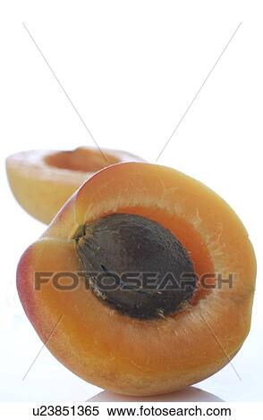 Stock Photography - Apricot with stone. Fotosearch
