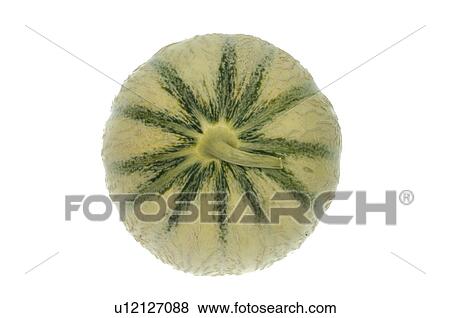 Stock Photo - Honeydew melon. Fotosearch