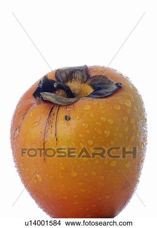 Picture - Japanaese Persimmon. Fotosearch