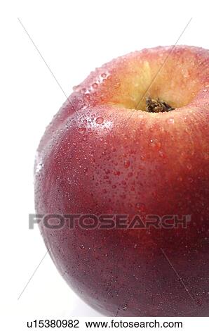 Nectarine View Large Photo Image Stock Image - Nectarine. Fotosearch