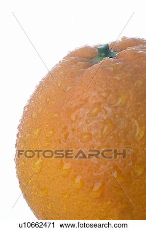 Stock Image - Orange. Fotosearch
