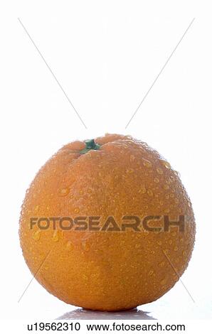 Stock Image - Orange. Fotosearch