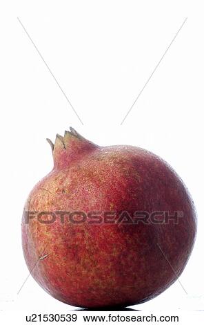 Stock Photo - Pomegranate. Fotosearch