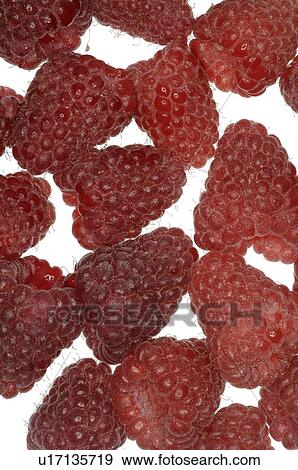 Raspberries View Large Photo Image Stock Photo - Raspberries. Fotosearch