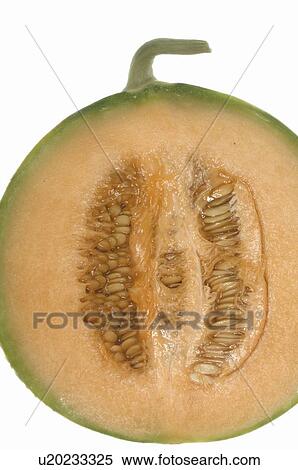 Sliced honeydew melon View Large Photo Image Stock Photography - Sliced honeydew melon. Fotosearch