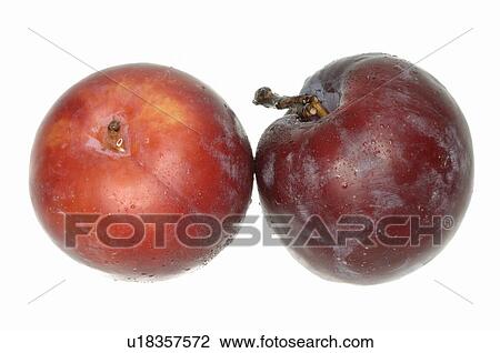 Stock Image - Two plums. Fotosearch