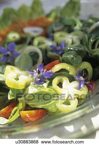 Stock Photo - Bauernsalat mit Borretsch, Tomaten, Basilikum. Fotosearch