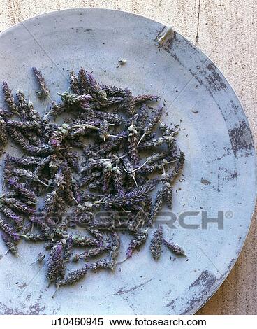 Stock Photography - Schale mit Getrockneten Lavendelblüten. Fotosearch