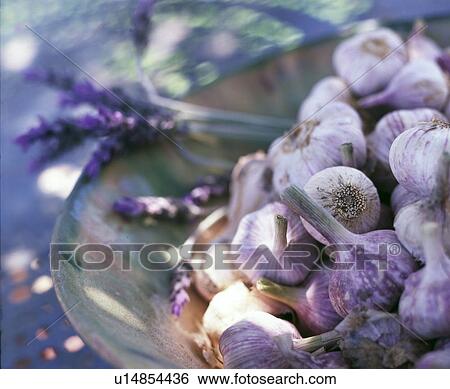 Schale mit Knoblauch und Lavendel View Large Photo Image Stock Photograph - Schale mit Knoblauch und Lavendel. Fotosearch