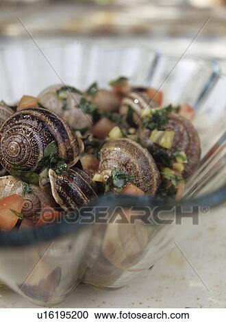 Stock Image - Schnecken, Tapas, Tomaten und Kräuter. Fotosearch