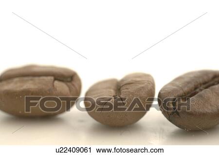 Coffee beans close up View Large Photo Image Stock Image - Coffee beans close up. Fotosearch