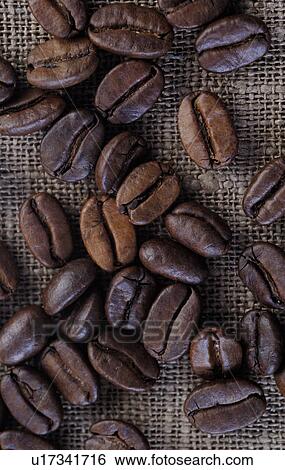 Stock Photograph - Coffee beans. Fotosearch