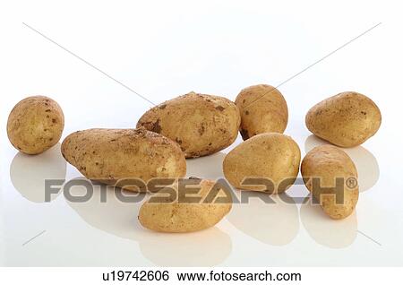 Power of potatoes View Large Photo Image Stock Photograph - Power of potatoes. Fotosearch