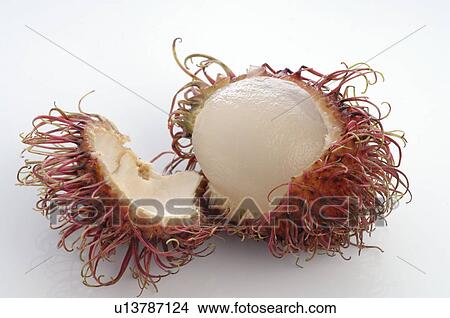 Rambutan View Large Photo Image Picture - Rambutan. Fotosearch