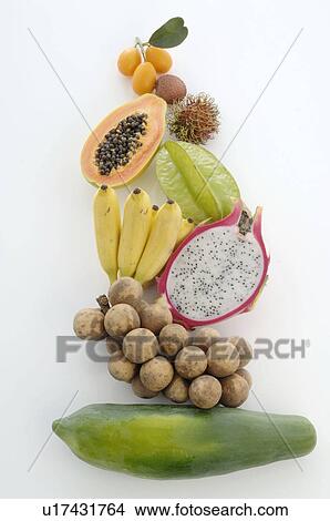 Tropical fruit choice View Large Photo Image Picture - Tropical fruit choice. Fotosearch