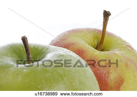 Two apples View Large Photo Image Stock Photo - Two apples. Fotosearch