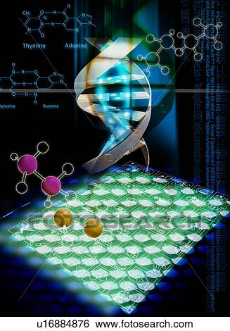 DNA strands superimposed on a dark background View Large Illustration Stock Illustration - DNA strands superimposed on a dark background. Fotosearch