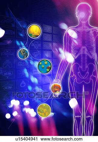 Clip Art - Human body superimposed on a blue background. Fotosearch