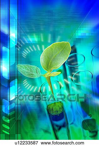 Sapling in a test tube superimposed on a blue background View Large Illustration Stock Illustration - Sapling in a test tube superimposed on a blue background. Fotosearch