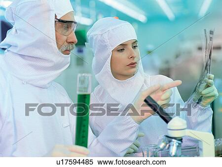 culture, development, examining View Large Photo Image Stock Photography - culture, development, examining. Fotosearch