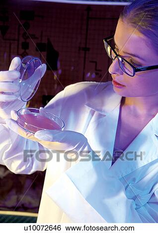 Stock Photograph - examining, research, r&d matters, looking, spectacles. Fotosearch
