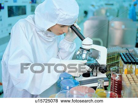 Young, female scientist using microscope View Large Photo Image Stock Photo - Young, female scientist using microscope . Fotosearch