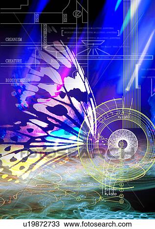 Close-up of a butterfly superimposed on a blue background View Large Photo Image Stock Image - Close-up of a butterfly superimposed on a blue background. Fotosearch