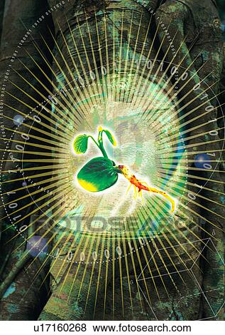 Stock Photo - Close-up of a sapling superimposed on a green background. Fotosearch