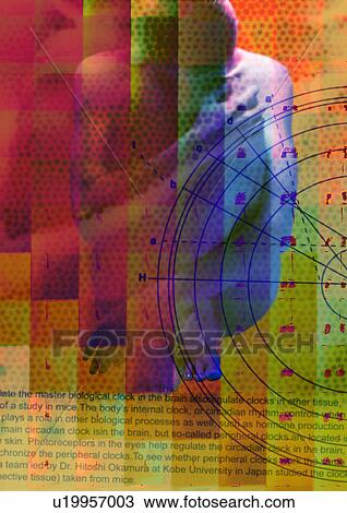 Close-up of circles superimposed on a human body View Large Photo Image Stock Image - Close-up of circles superimposed on a human body. Fotosearch