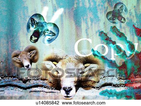 Stock Image - Close-up of ram's heads superimposed on a green background. Fotosearch