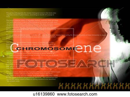 Close-up of text superimposed on the human form View Large Photo Image Stock Image - Close-up of text superimposed on the human form. Fotosearch