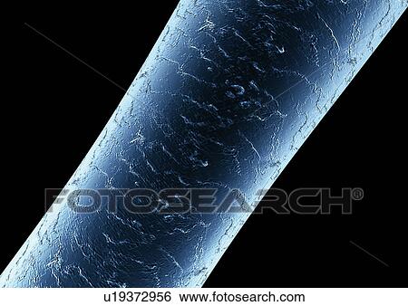 Stock Photograph - body atlas, human, body, organs. Fotosearch