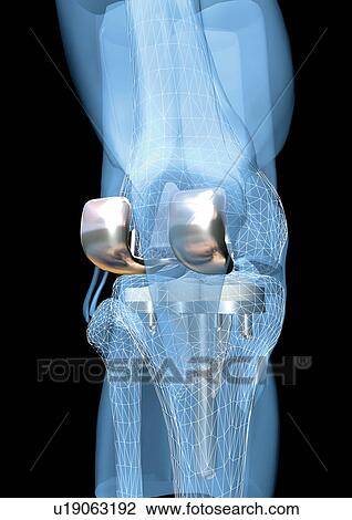 imagery, representation, body, human, life View Large Photo Image Stock Image - imagery, representation, body, human, life. Fotosearch