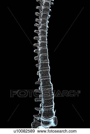 medical, scientific, design, science, person, body atlas View Large Photo Image Stock Photo - medical, scientific, design, science, person, body atlas. Fotosearch