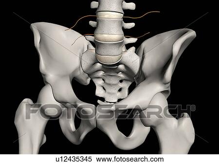 medical, scientific, person, field, indoor, study, design View Large Photo Image Stock Photography - medical, scientific, person, field, indoor, study, design. Fotosearch