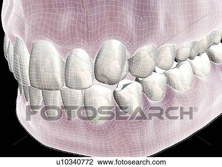 Stock Image - science, representation, indoor, art, medical, appearance. Fotosearch