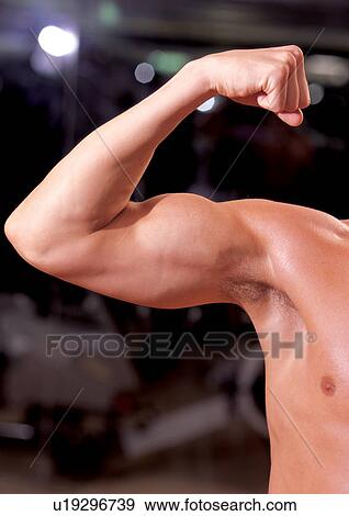 biceps, effort, activity View Large Photo Image Stock Photo - biceps, effort, activity. Fotosearch