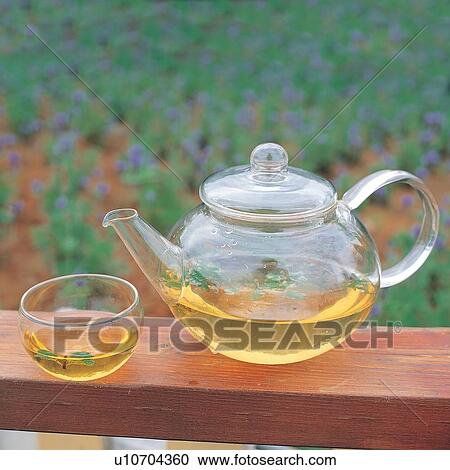 Stock Image - Bench, Close-Up, Focus On Foreground, Green, Half Full. Fotosearch