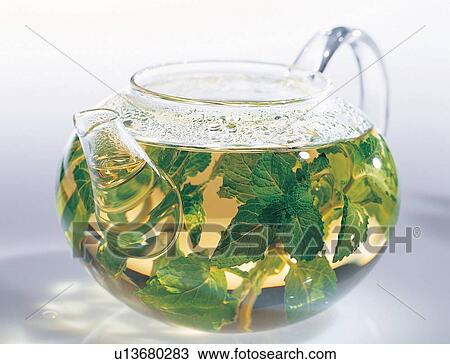 Clear, Close-Up, Cut Out, Green, Herb View Large Photo Image Stock Image - Clear, Close-Up, Cut Out, Green, Herb. Fotosearch