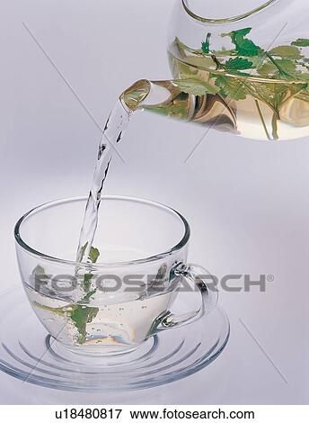 Clear, Close-Up, Cut Out, Herb, Indoor View Large Photo Image Stock Photo - Clear, Close-Up, Cut Out, Herb, Indoor. Fotosearch