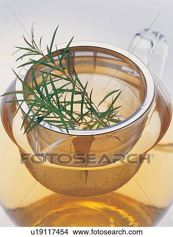 Picture - Close-Up, Cut Out, Green, Half Full, Herb. Fotosearch