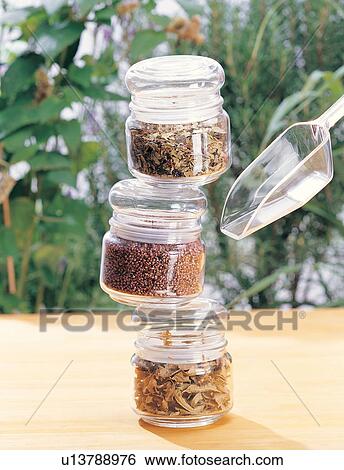 Close-Up, Focus On Foreground, Green, Group Of Objects View Large Photo Image Stock Photograph - Close-Up, Focus On Foreground, Green, Group Of Objects. Fotosearch