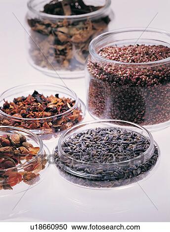 Stock Image - Close-Up, Healthy Eating, Herb Tea, Still Life, Non-alcoholic Beverage. Fotosearch