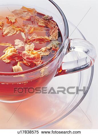 Close-Up, Indoor, Peppermint View Large Photo Image Stock Photography - Close-Up, Indoor, Peppermint. Fotosearch